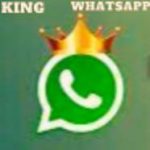 King WhatsApp APK (Gold, Green) Update v26F Free Download